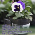 capturadepantalla20211124alas153248