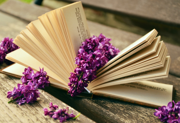 Celebramos el Día Internacional de la Mujer a través de la lectura