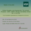 visitaguiadapicassofebrero2015