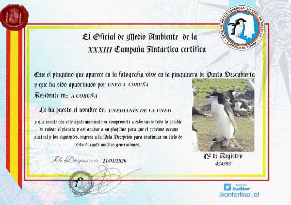UNED A Coruña En Verde: Conoce a Unedianín, ¡nuestro pingüino! 
